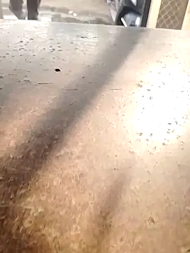 Roy___121's cam snapshot