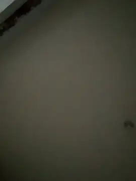 LUISSLEONN0958 live sex cam