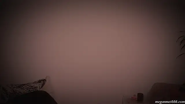meganmei666 live sex cam