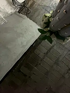 KingBlack25cm live sex cam