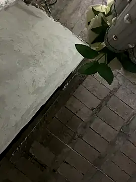 KingBlack25cm live sex cam