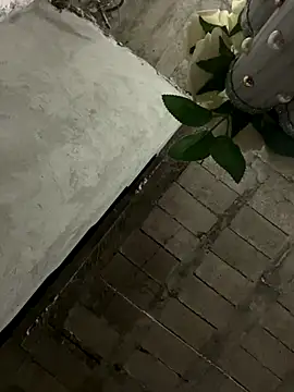 KingBlack25cm live sex cam