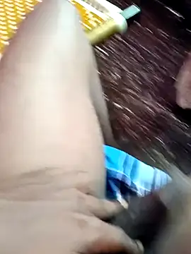 dolphiinn's cam snapshot