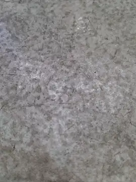 rj-666-'s cam snapshot