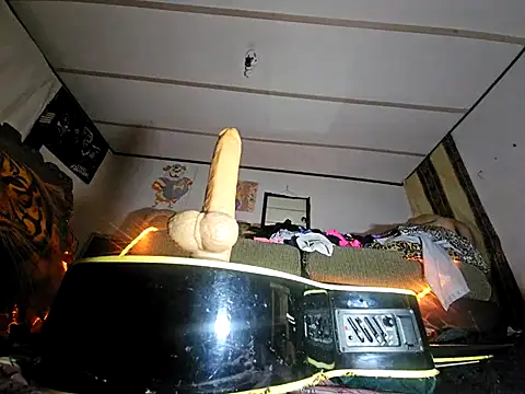 j_hollywood91 live sex cam