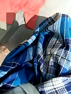 dolphiinn's cam snapshot