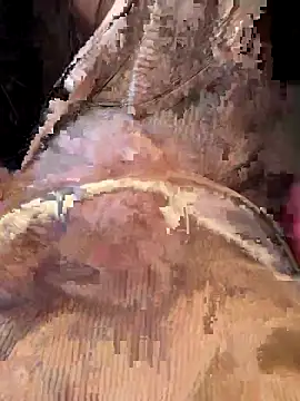 wsyx326 live sex cam