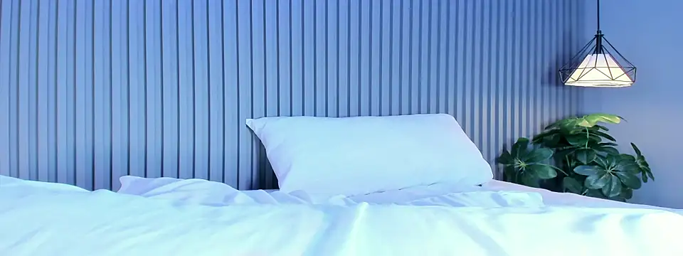 ElaraDusk's cam snapshot