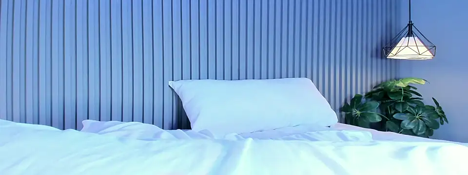 ElaraDusk's cam snapshot