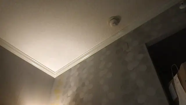 RyanSteeleXXX live sex cam