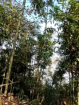 Yumiik2kk live sex cam