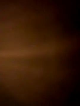 Dylams_maja live sex cam