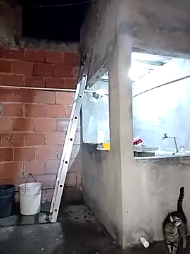 ariana_d20 live sex cam