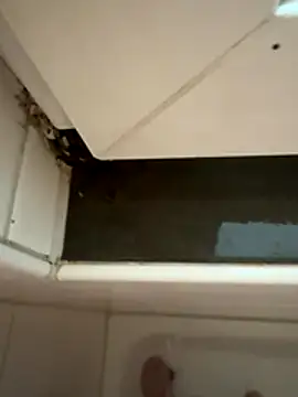 timtom19's cam snapshot