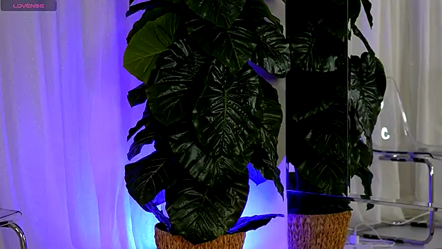 EvaAmanti live sex cam