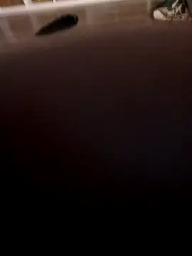 pricewwt's cam snapshot