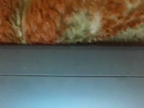 Stubborndesiboy's cam snapshot