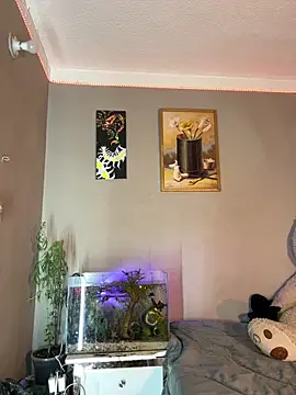 CRAZY-BOY99 live sex cam