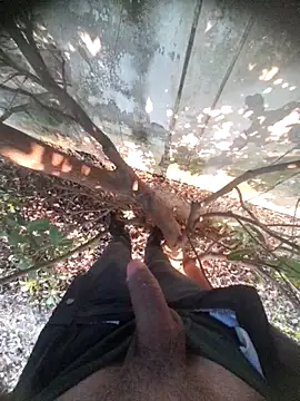 Desi_Horny_Boys's cam snapshot