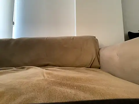 Banshhee's cam snapshot