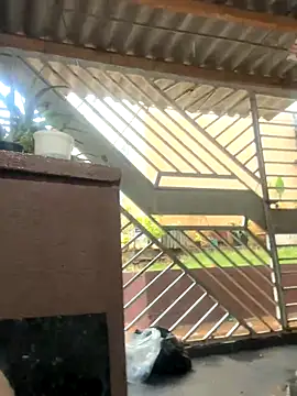 Jronlinejr-05 live sex cam