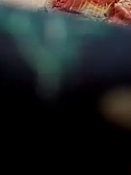 Payal950's cam snapshot