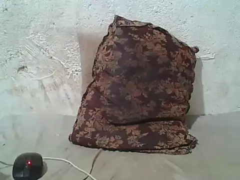 wildfox566 live sex cam