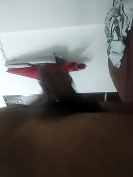 khoonichamgadar's web cam