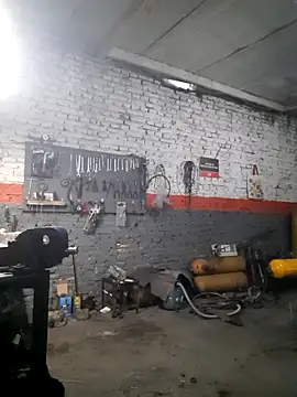 hecwil8 live sex cam