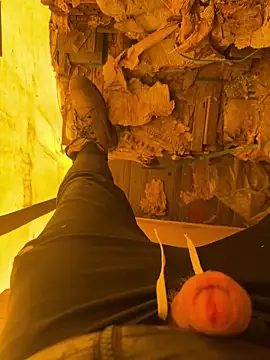 cussy007 live sex cam