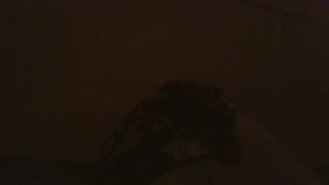 iaradias live sex cam