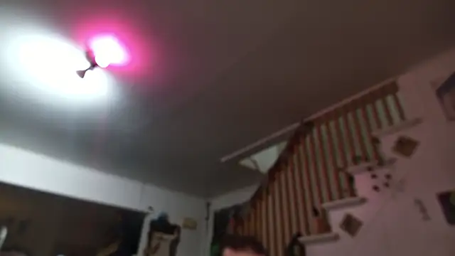 MasterDaddyCool live sex cam