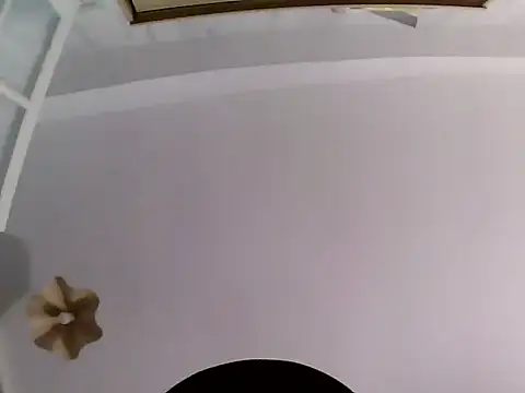 culalimer live sex cam