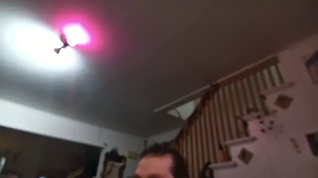 MasterDaddyCool live sex cam