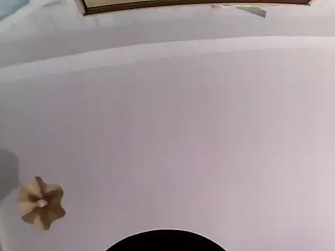 culalimer live sex cam