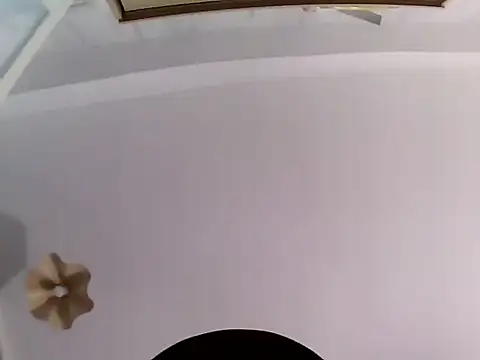 culalimer live sex cam