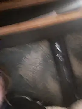 coquinopen's cam snapshot