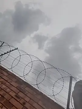 Lets-Collaborate's cam snapshot