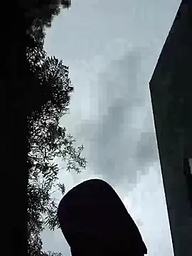 Negok1ng17cm's cam snapshot