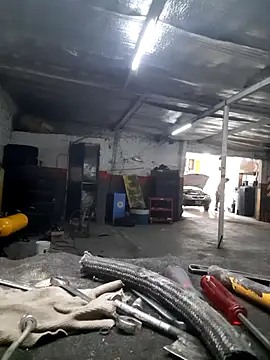 hecwil8 live sex cam