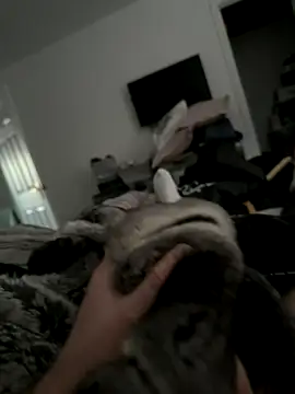 Furdale live sex cam