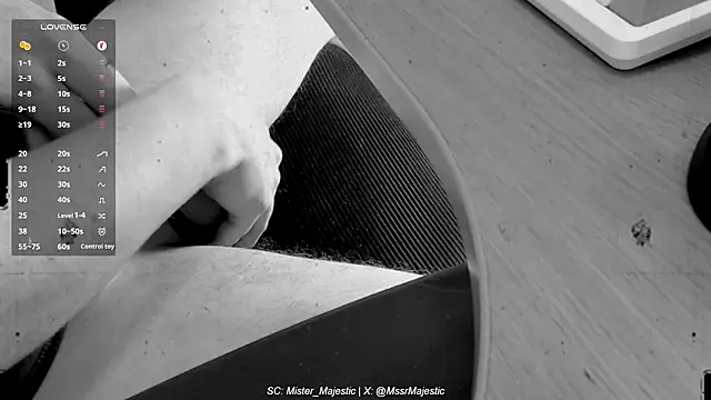 Mister_Majestic's cam snapshot