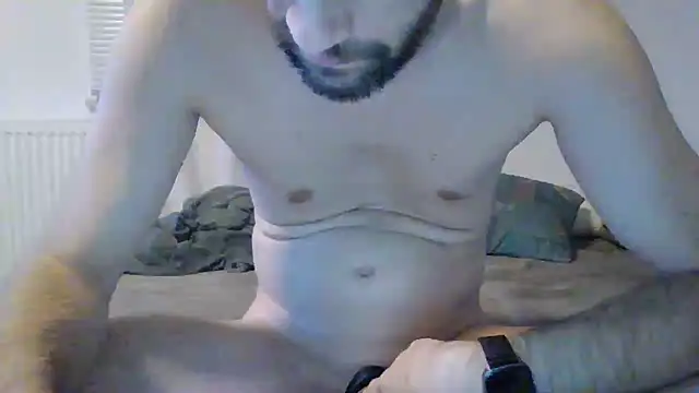 XLBarehengst live sex cam