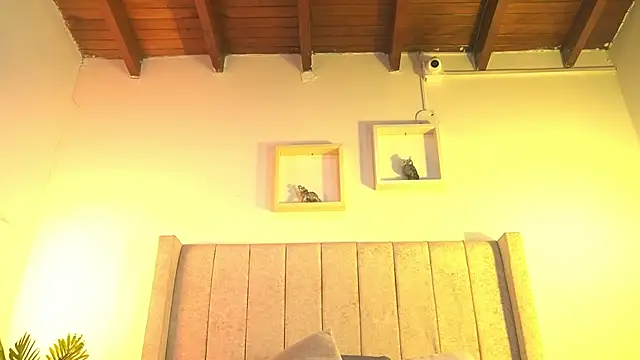 patty_m live sex cam