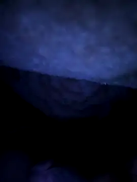 sosalAltimeter's web cam