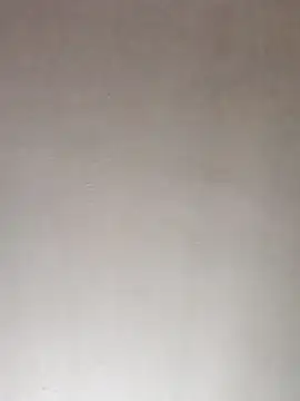 moneybaggtj's cam snapshot