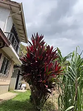 Marco_Vega live sex cam