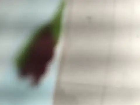 paro22_sex live sex cam