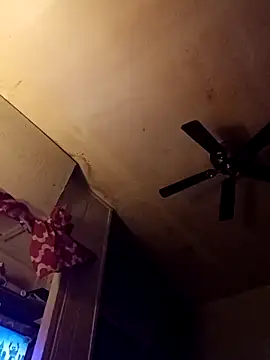 birdg's cam snapshot