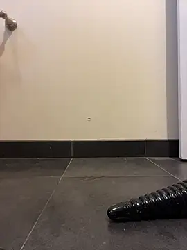 Prolapse_Pig's cam snapshot